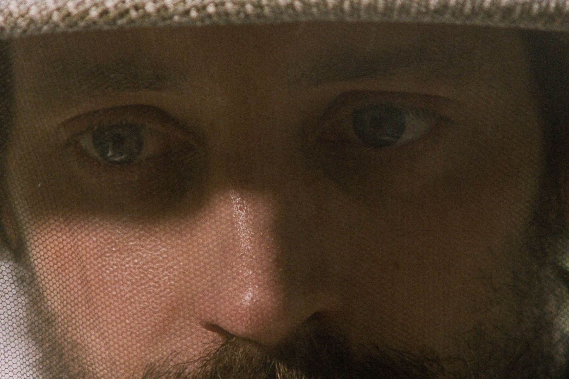 Adam Lundgren, Biodlaren