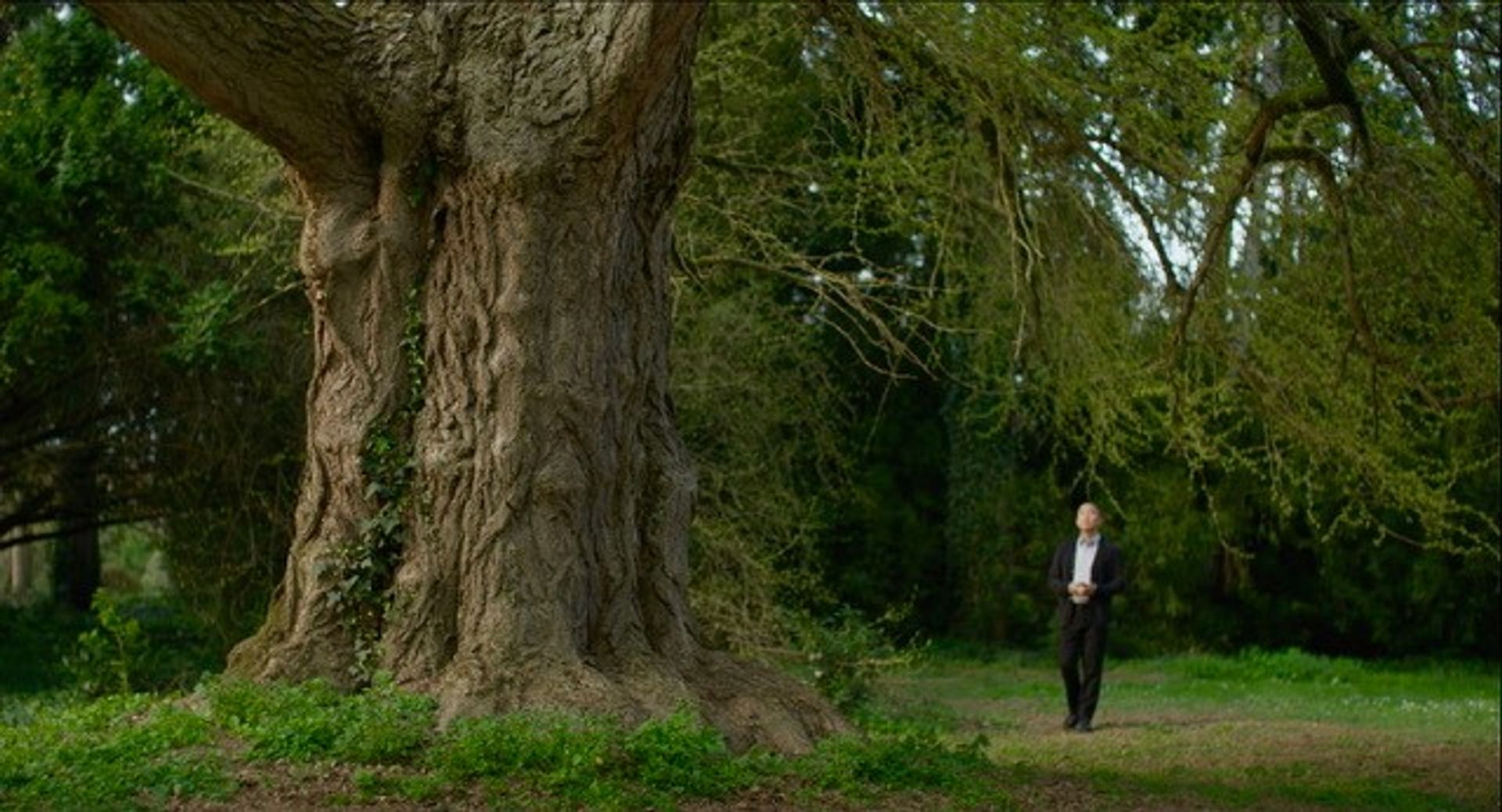 Silent Friend – supported by the Film- und Medienstiftung NRW (Film and Media Foundation NRW)